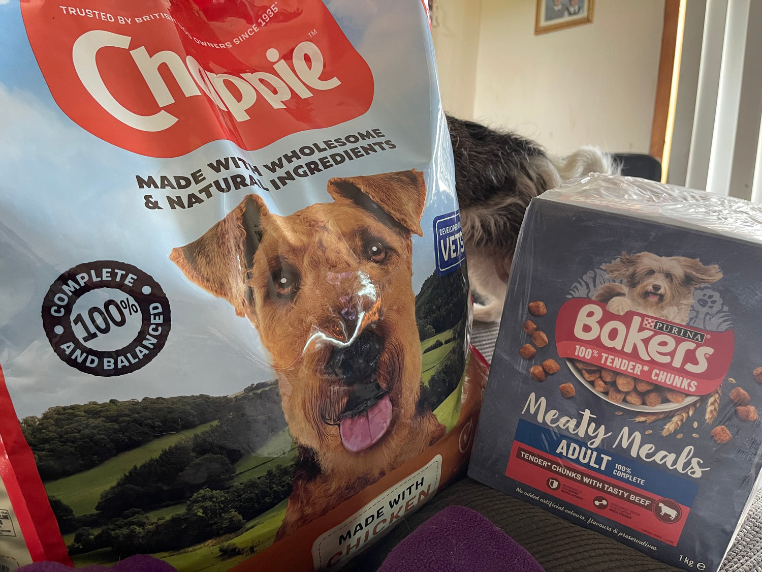 Dog Treats