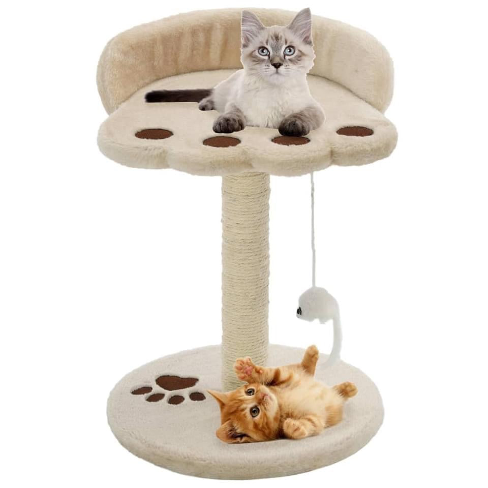 Cat Supplies