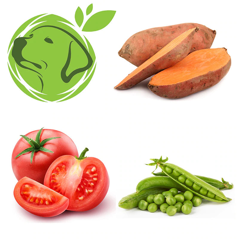 Veggie Dog Snacks - Dual Sided Bones