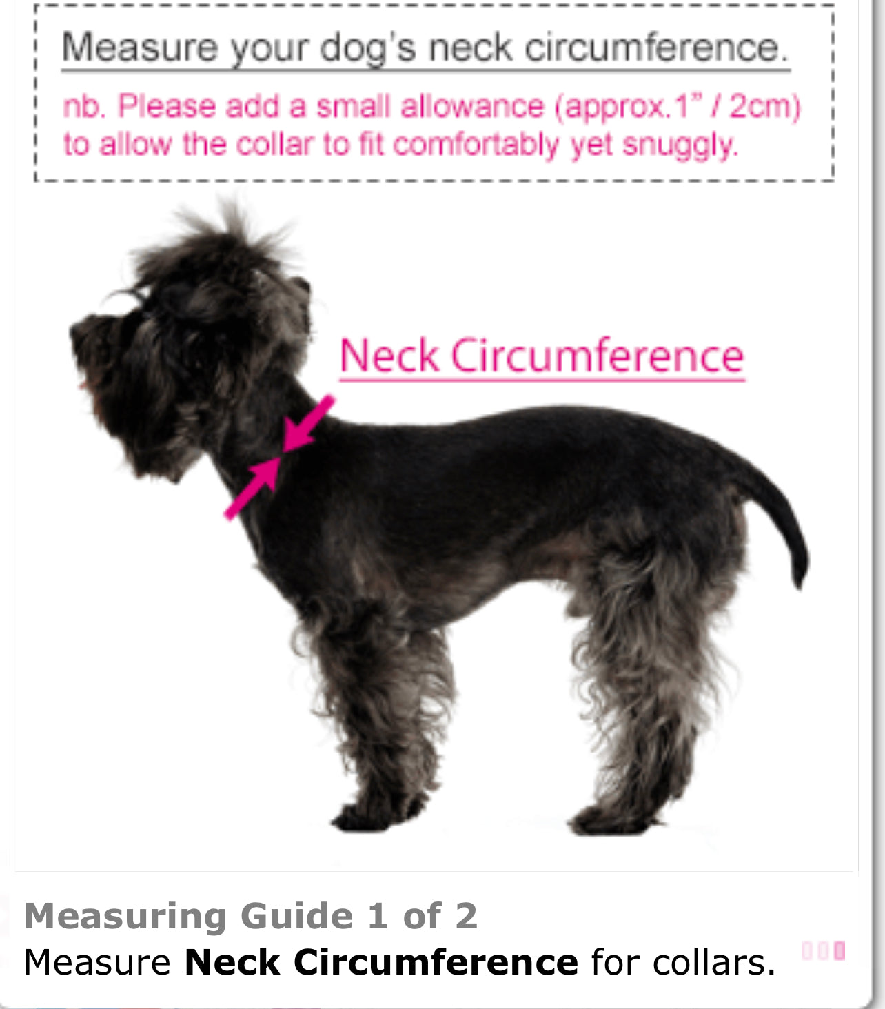 Floral Burst pattern collar & lead set
